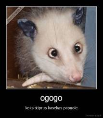 ogogo - koks stiprus kasekas papuole