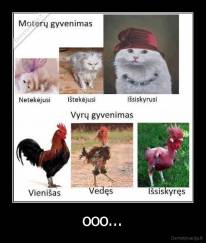 ooo... - 