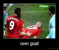 own goal - 