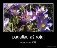 pagaliau aš rojuj - susapnavo BITĖ