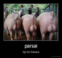 parsai - irgi turi kiausus