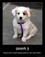 paserk ji - Pakasyk pausi ir tapsit draugais paserk ji ir jusu nieks neiskirs 