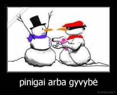 pinigai arba gyvybė - 