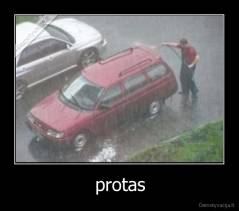 protas - 