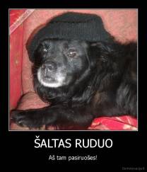ŠALTAS RUDUO - Aš tam pasiruošes!