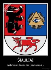 ŠIAULIAI - nestumk ant Šiaulių, nes i kaulus gausi...