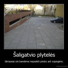 Šaligatvio plytelės - tikriausiai visi bandėme nepadėti pėdos ant sujungimo.