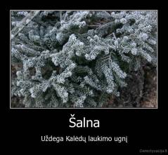 Šalna - Uždega Kalėdų laukimo ugnį
