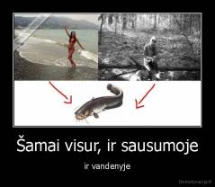 Šamai visur, ir sausumoje - ir vandenyje