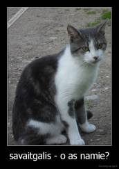 savaitgalis - o as namie? - 