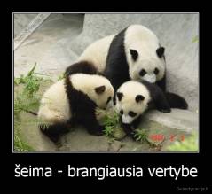 šeima - brangiausia vertybe - 
