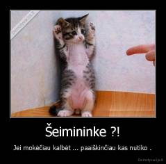 Šeimininke ?! - Jei mokėčiau kalbėt ... paaiškinčiau kas nutiko .