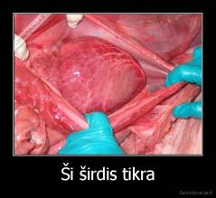 Ši širdis tikra - 