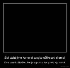 Šiai stebėjimo kamerai pavyko užfiksuoti dramblį - Kuris surenka šiukšles. Nes jis supranta, kad gamta - jo namai.