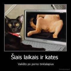Šiais laikais ir kates  -  Vaikšto po porno tinklalapius