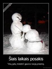 Šiais laikais posakis - 'Visų galų meistrė' įgauna naują prasmę.