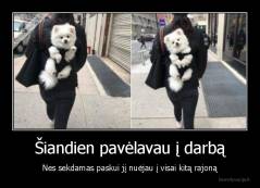 Šiandien pavėlavau į darbą - Nes sekdamas paskui jį nuėjau į visai kitą rajoną