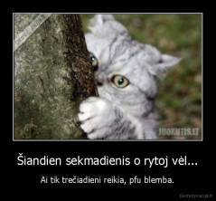Šiandien sekmadienis o rytoj vėl... - Ai tik trečiadieni reikia, pfu blemba.