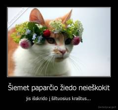 Šiemet paparčio žiedo neieškokit - jis išskrido į šiltuosius kraštus...