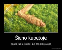 Šieno kupetoje - adatą rasi greičiau, nei jos plaukuose