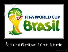 Šilti orai iškeliavo žiūrėti futbolo - 