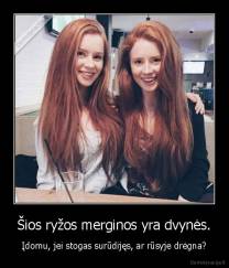 Šios ryžos merginos yra dvynės. - Įdomu, jei stogas surūdijęs, ar rūsyje drėgna?