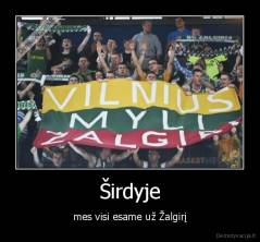 Širdyje - mes visi esame už Žalgirį