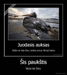Šis paukštis - tikrai tai žino