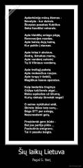 Šių laikų Lietuva - Pagal S. Nerį