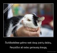 Šiukšliadėžėse galima rasti daug įvairių dalykų. - Pavyzdžiui aš radau geriausią draugą.