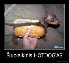 Šiuolaikinis HOTDOG'AS - 