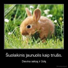 Šiuolaikinis jaunuolis kaip triušis. - Dievina seksą ir žolę