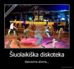 Šiuolaikiška diskoteka - blaiviomis akimis...
