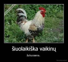 šiuolaikiška vaikinų - šukuosena. 