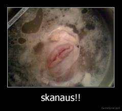 skanaus!! - 