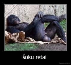 šoku retai  - 