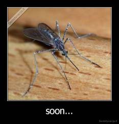 soon... - 