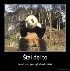 Štai dėl to - Pandos ir yra nykstanti rūšis