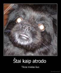 Štai kaip atrodo  - Tikrai mielas šuo