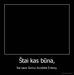 Štai kas būna, - Kai savo šuniui duodate Extazy.