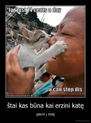 štai kas būna kai erzini katę - gauni į nosį