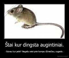 Štai kur dingsta augintiniai. - -Sūnau kur pelė? Negaliu sėst prie kompo.-Išmečiau, sugedo.