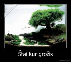 Štai kur grožis - 