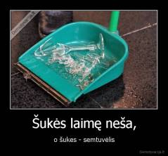 Šukės laimę neša, - o šukes - semtuvėlis