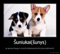 Šuniukai(šunys) - jie geriausi draugai ir priverčia liūdniausia akimirką tave pralinksminti