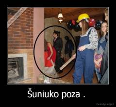 Šuniuko poza .  - 