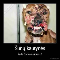 Šunų kautynės - kada žmonės supras..?