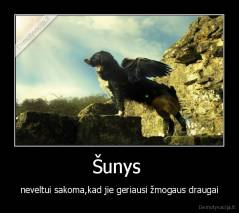 Šunys  - neveltui sakoma,kad jie geriausi žmogaus draugai