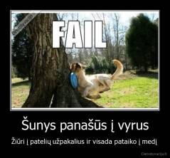 Šunys panašūs į vyrus - Žiūri į patelių užpakalius ir visada pataiko į medį 