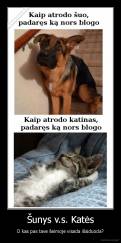 Šunys v.s. Katės - O kas pas tave šeimoje visada išsiduoda?